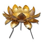 Lotus Urli