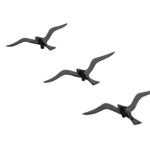 Brass Birds Set of 3 pcs in Black